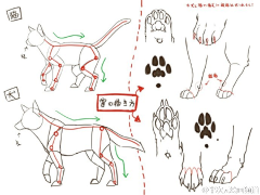 不梦喵呀采集到插画素材