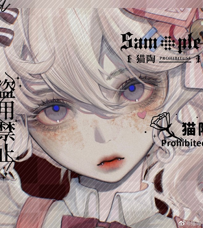 猫陶的微博_微博