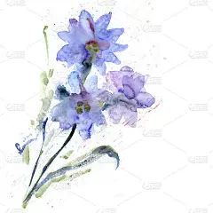 水彩蓝花
