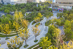 小杨小羊~采集到Z-种植池