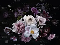 复古花卡。花园花和蝴蝶。牡丹，玫瑰，郁金香，百合和绣球花在黑色。名片模板，封面，香水包装，网页和手机