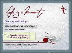 事件,贺卡,模板,节日,红色,文字,猫,斑点,祝贺,许愿