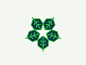 Leaf star 01