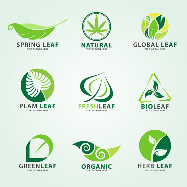 绿色环保叶子标志图片