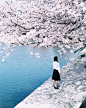 iwakura shiori的Instagram主页(@iwakurashiori) - Insstar Instagram网页版