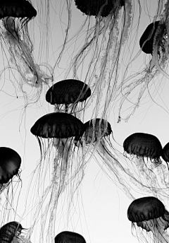 【创意几何图案图集下载】艺术纹理装饰纹样/手机壁纸/服装染织图案设计