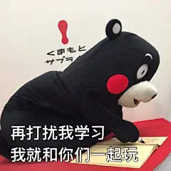 人有多大胆 复习拖多晚 kumamon考试表情包#kumamon##熊本熊##表情包#