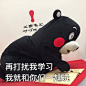 人有多大胆 复习拖多晚 kumamon考试表情包#kumamon##熊本熊##表情包#