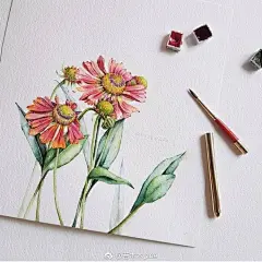 往事不回头 
未来不将就 
水彩手绘植物
by:nicei2 ​​​​