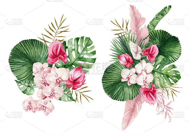 水彩画的热带树叶，树枝，蕨类和粉红色的花。