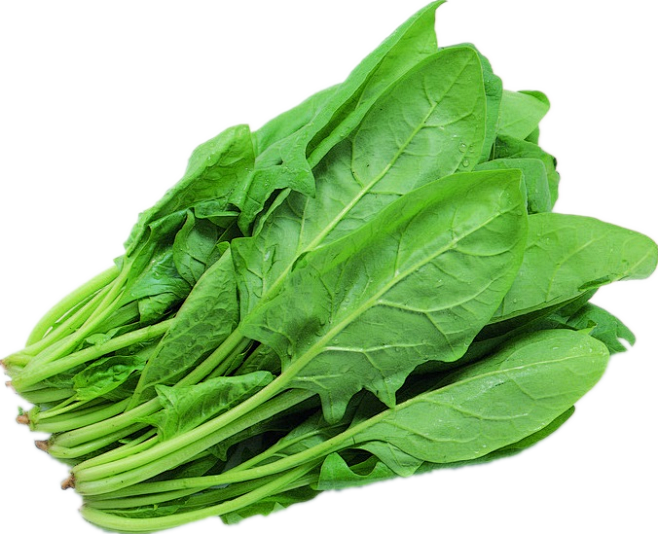 spinachpng