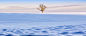 冬季雪地一棵树3440x1440风景壁纸