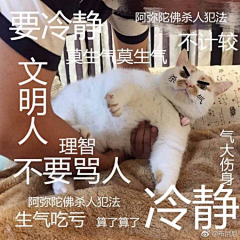 一只扶老二采集到我的表情库