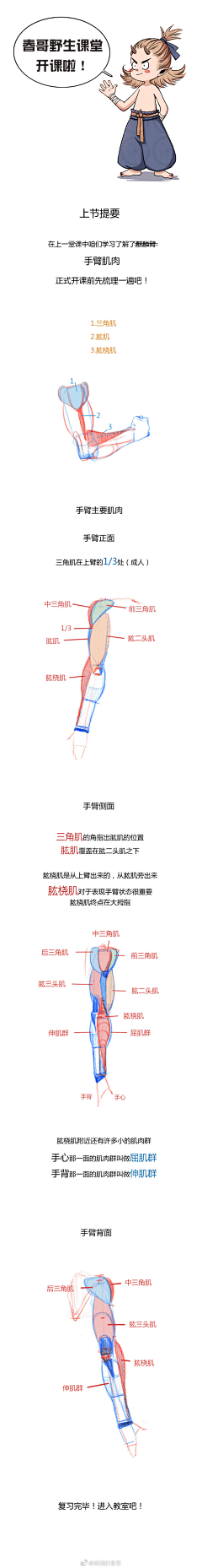 guoguozi采集到教程