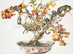 动物拟人_百度图片搜索