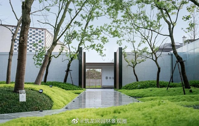 上海玖玺示范区，金叶佛甲草，乌桕，堆坡