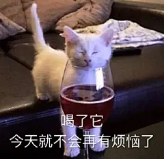 沙雕表情包更新，礼貌拿图

喝了它，今天就不会再有烦恼
我太难了啊
呆住
呵呵
新的一天，开冲...展开全文c