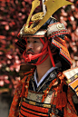 Samurai in armor, Teruhime Matsuri Parade (照姫まつり)