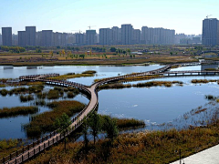 大大力水手采集到架空栈道