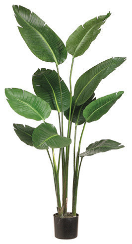 Silk Plants Direct B...