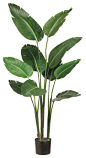 Silk Plants Direct Bird of Paradise Plant (Pack of 1) traditional-artificial-flowers-plants-and-trees【关注微信公众号：波普先生】设计行业垂直自媒体。让好设计，每天和你说早安！有趣有料，拒绝不好玩！