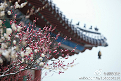 Crow·尘采集到摄影