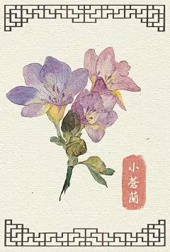 阿昕的自然手绘花绘