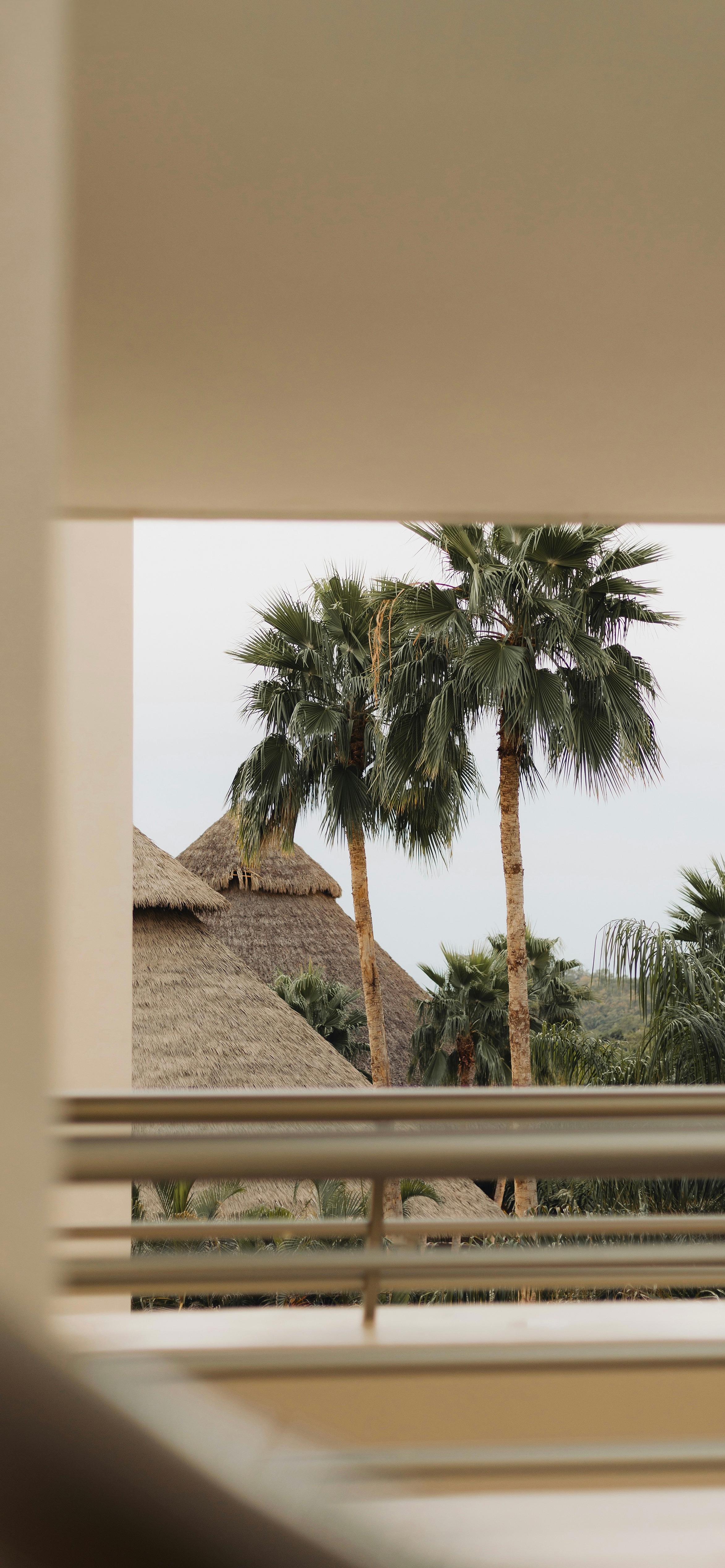 又发现一张还不错的手机壁纸