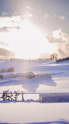 深情海洋采集到雪色美景！