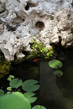 “ 爱静居山境，迎凉上小楼 … ” ​​​​