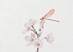 ✿樱界⌒零‵采集到花 开在心中的一朵莲