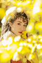 2023腾冲银杏村不见不散喔