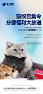 撸猫活动海报