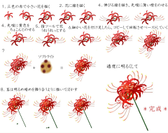 党的光辉照耀大地采集到花儿