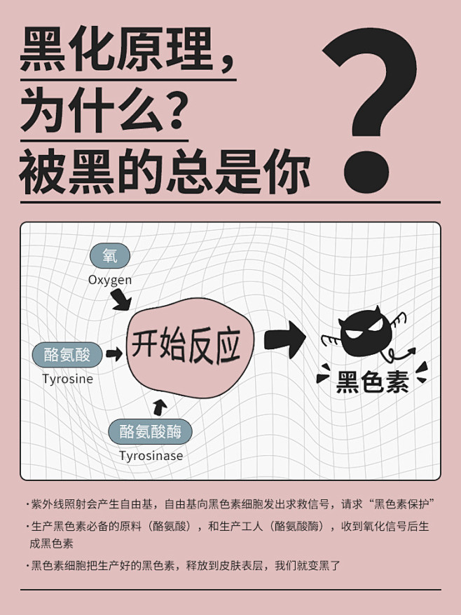 护肤知识