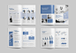 企业产品介绍海报传单折页模版素材下载Company Profile 2018插图(2)