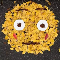 树叶有逆天玩法了，秒变表情包！最适合这个季节的玩法