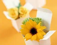 情人节系列爱的鲜花桌面高清壁纸桌面壁纸3