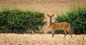 mind the gap.. by Mark Bridger on 500px