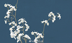 易生桐心采集到画画的小夏