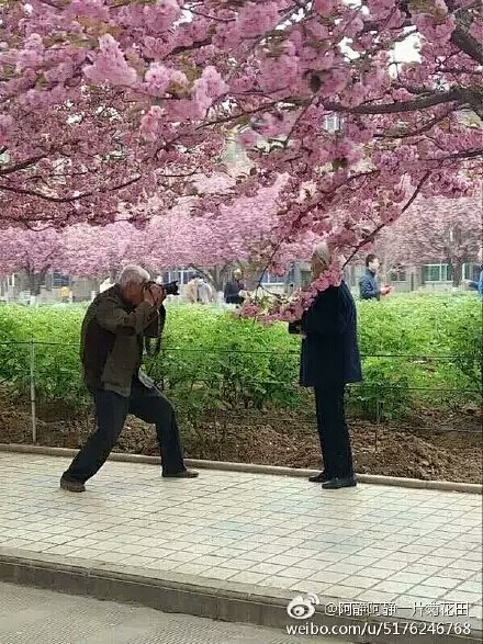 @阿静阿静一片菊花田_：
我能想到最浪漫...