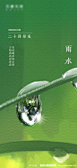 雨水节气简约海报