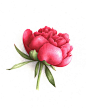 14bee9c851679d4d8f4554abb0b856a2dd93c7992f88c-x3fXlv_fw658