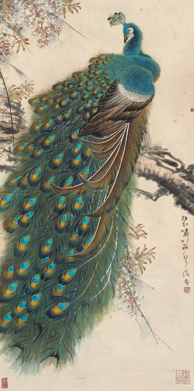 孔雀工笔画