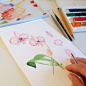 Olga Chuykova on Behance