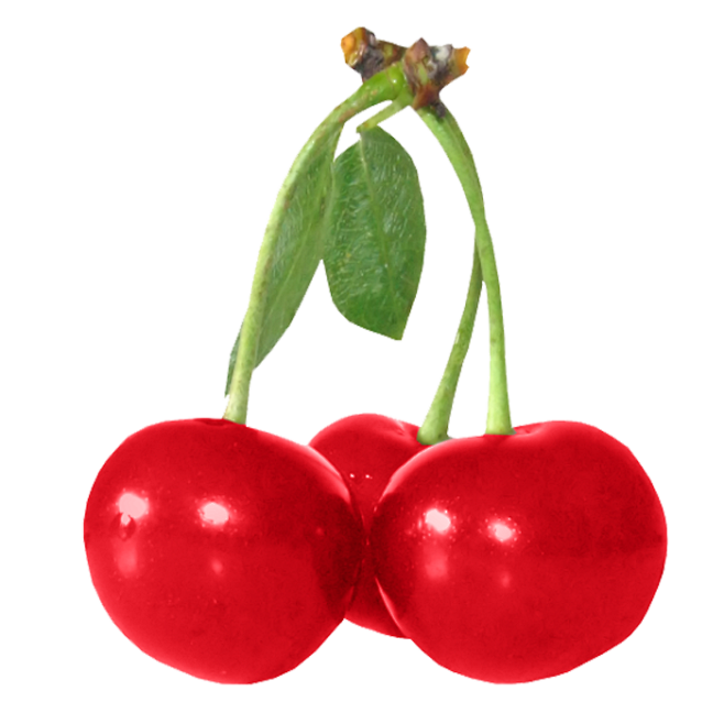 樱桃