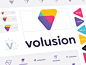 Volusion Brand Guide [WIP]