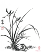 兰花 植物 装饰 png 免抠素材