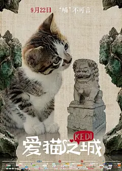 爱猫之城 Kedi 海报