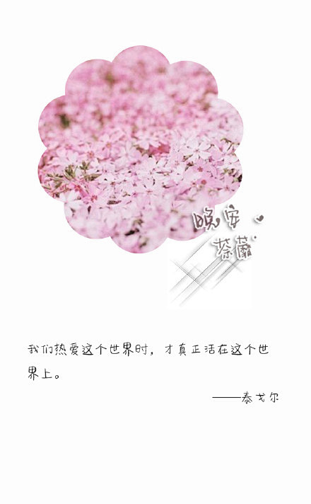 晚安荼蘼设计的小清新文字图片